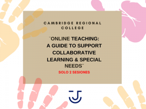 ¨ONLINE TEACHING: A GUIDE TO SUPPORT COLLABORATIVE LEARNING & SPECIAL NEEDS¨